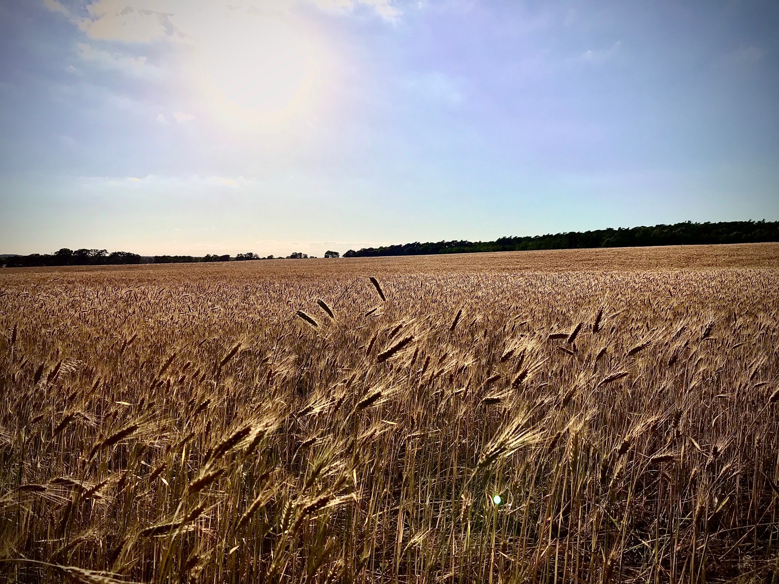Agroenergia 2024 – program wsparcia OZE to szansa na znaczne zredukowanie kosztów utrzymania gospodarstwa i tym samym okazja do zrównoważonego rozwoju produkcji rolnej opartej na proekologicznych rozwiązaniach.